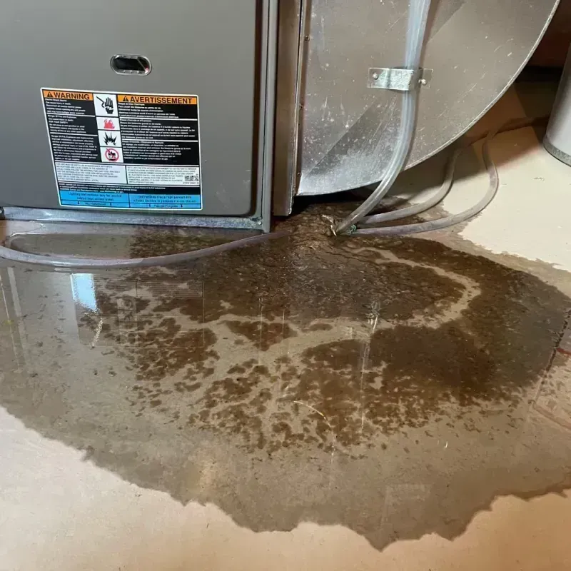 Appliance Leak Cleanup in Ken Caryl, CO